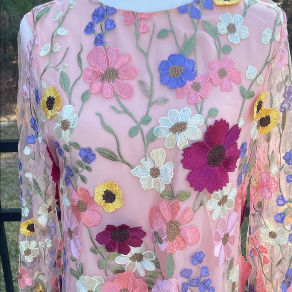 Storia Sheer Dress with Full Length Liner and Floral Embroidery - Picture 5 of 13